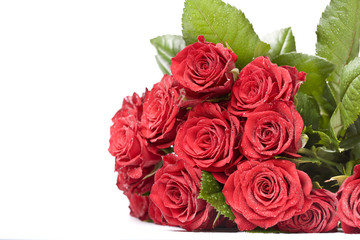 Big bunch of red roses