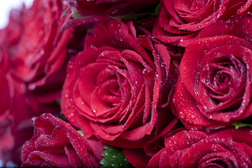 Big bunch of red roses