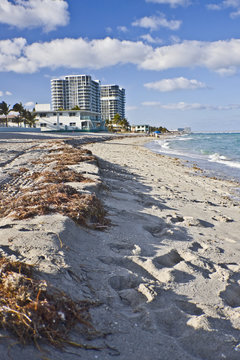 Beach scene in Miami Florida