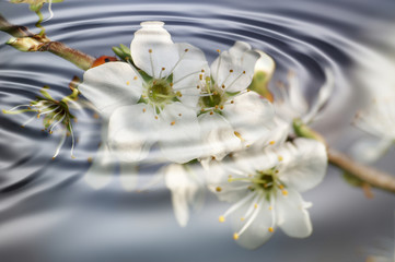 Frühling