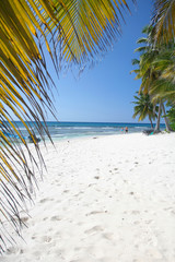 Fototapeta na wymiar Tropical Island with Palm Trees in Caribbean Ocean