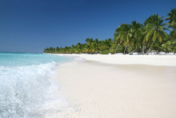 Saona: Sand Beach, Caribbean Ocean and Palm Trees - obrazy, fototapety, plakaty