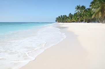 Fototapeta na wymiar Tropical Paradise - White Sands Beach, Caribbean Ocean and Cocon
