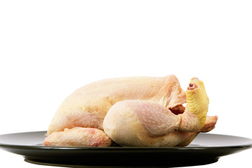 pollo
