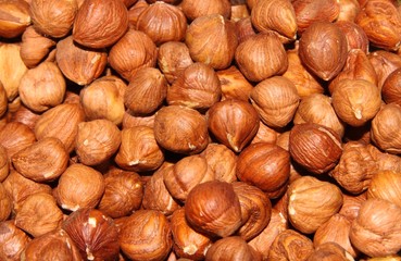 Haselnuss
