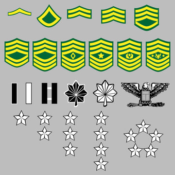 US Army rank insignia for officers and enlisted in vector