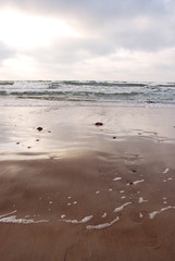 Baltic Sea shore