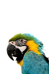 ara