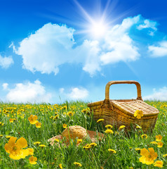 Summer picnic basket with straw hat in a field of flowers - 13206542