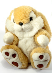 Soft toy a hare on a white background
