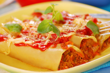 cannelloni with meat