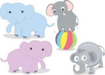 various elephants