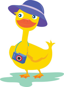 a duck with a camera
