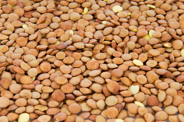 Lentils