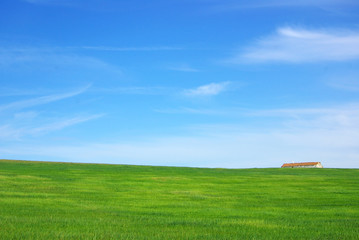 Solitary house in green field of Alentejo.