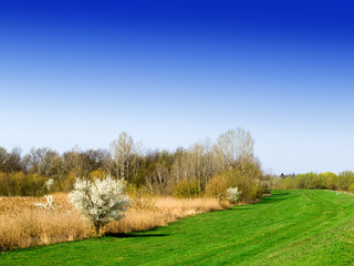 Fototapeta premium april,landscape