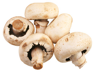 mushrooms
