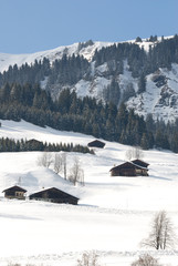 paysage alpin