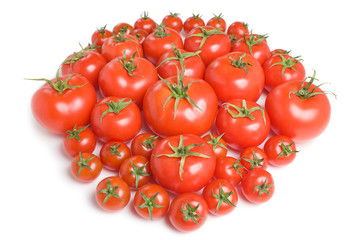 Group of tomatoes-15