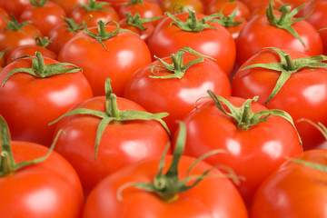 Tomato background-2