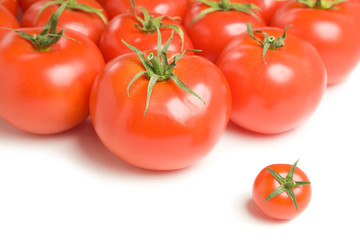 Group of tomatoes-17