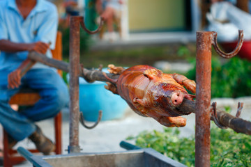 whole grill piglet pig on a roaster skewer outdoor