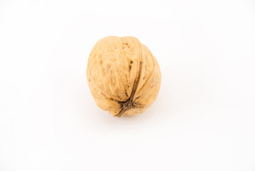 walnut on white background