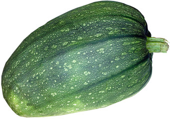 Abóbora - Pumpkin - Zucca - Calabaza - Courge - Gourd