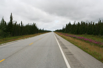 Alaskas Highway