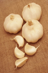 Garlic on canvas background.