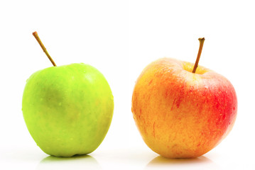 apples