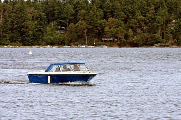 Fototapeta premium Blue Boat Speeding Past Evergreen