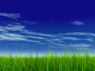 Fototapeta na wymiar green grass over a blue sky with white clouds as background