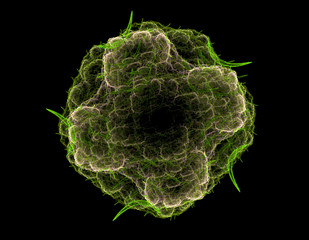 Fractal rendering of a spore or pollen particle