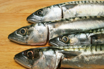 Mackerel heads