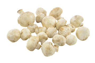 Fresh mushrooms isolated on a white background