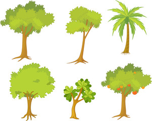 various trees and plants