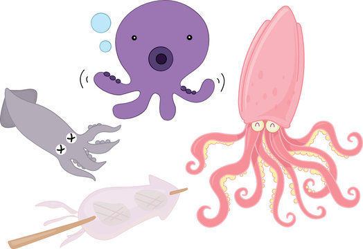sea creatures and sea food