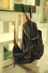 School backpack © karitap