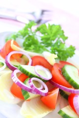 Chicoree Salat mit Tomaten, Gurken und Zwiebel