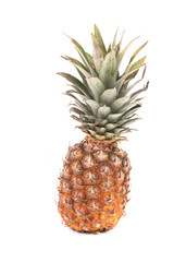 Fototapeta premium pineapple