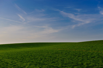 Fototapeta na wymiar blauer Himmel grünes Feld