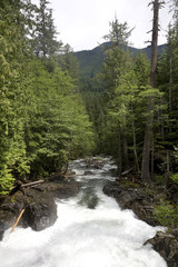 North Cascade River