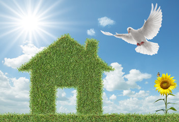 dove and green grass house