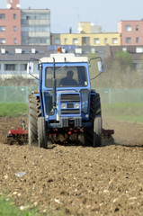 Campi in citta - Udine Friuli