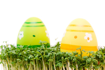 easter egg and cress isolated on white