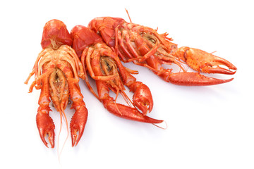 crawfishes
