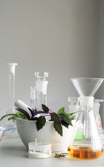 mortar and pestle with herbs