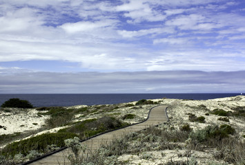 Fototapeta na wymiar Boardwalk over sand dunes with blue sky and clouds on the Califo