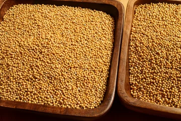 Rolgordijnen Mustard seeds © Profotokris